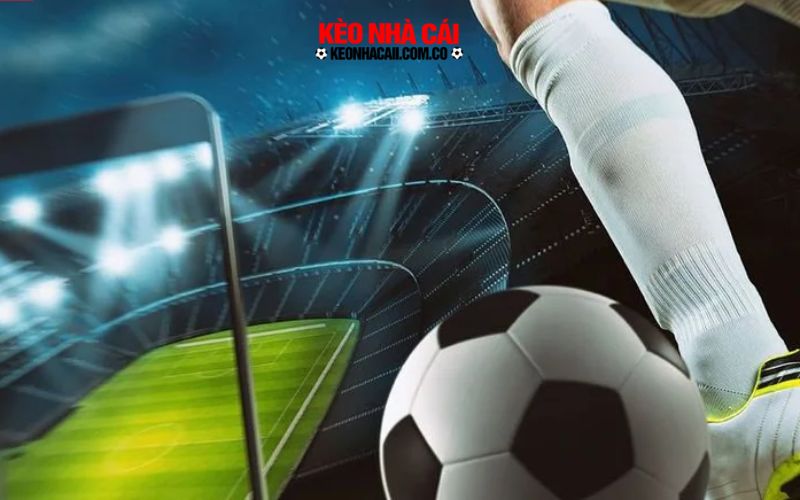 keonhacai 4 Tổng quan về 7M bóng đá