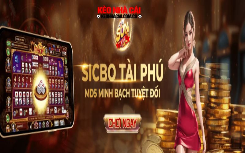 sunwin 3 Cá cược thả ga
