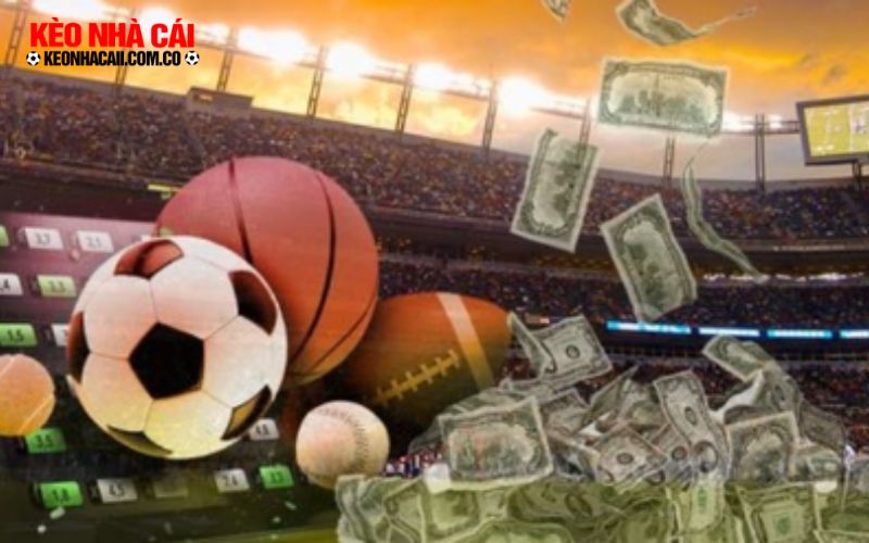 nha cai uy tin nhat 4 Khái niệm nhà cái uy tín tặng tiền cược miễn phí