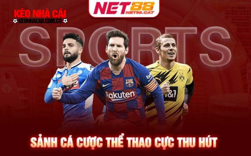 The thao Net88 Giới thiệu sảnh cược thể thao Net88
