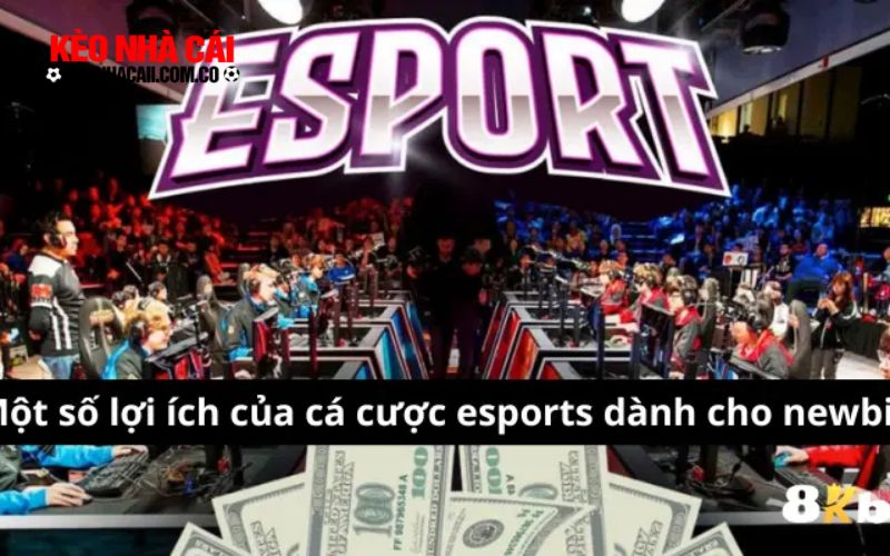 Esports 3 Lợi ích khi cá cược esports tại 8kbet