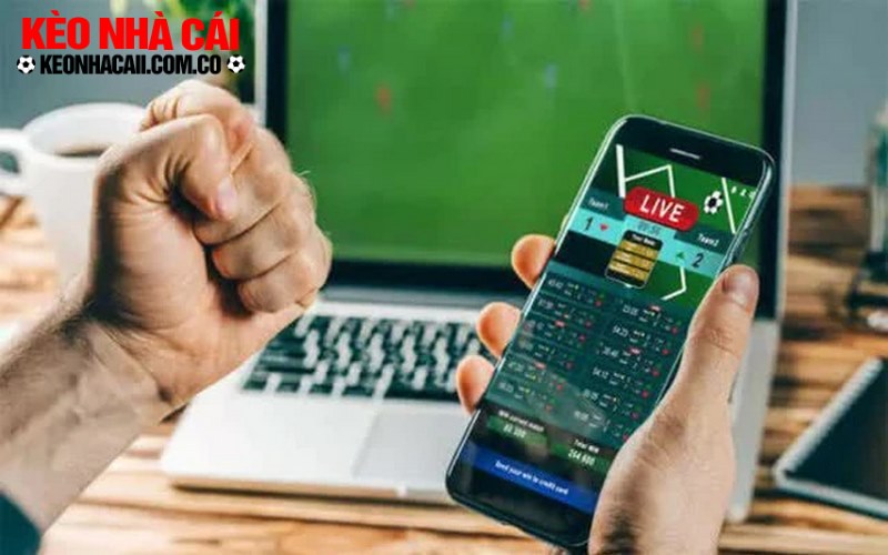 Thanh vien co the truy cap website su dung dich vu mien phi Thành viên có thể truy cập website sử dụng dịch vụ miễn phí