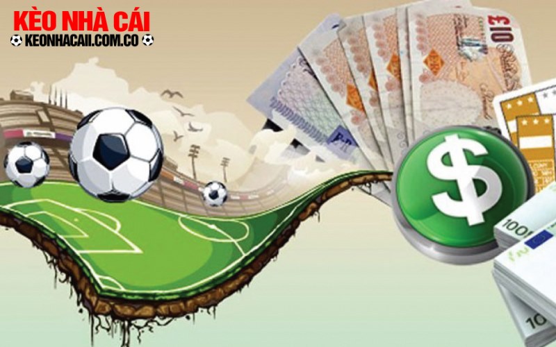 Website cung cap tat ca dich vu cho hoi vien deu mien phi Website cung cấp tất cả dịch vụ cho hội viên đều miễn phí