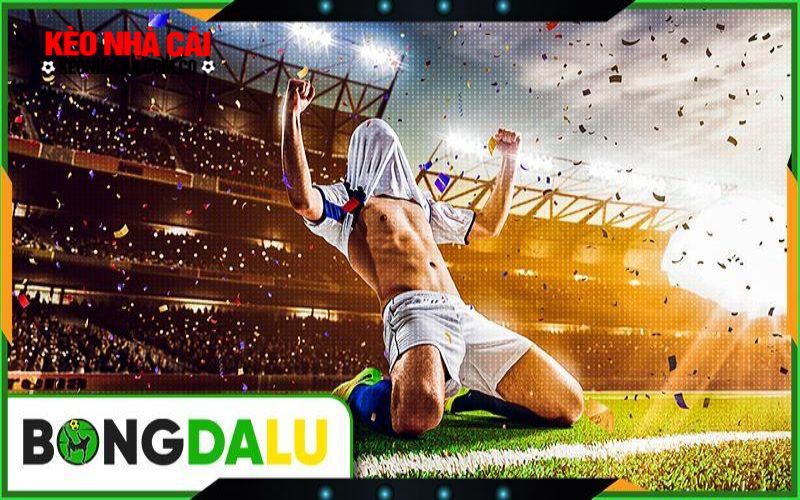 bongdalu 3 Giới thiệu Bongdalu cùng những dịch vụ giải trí nổi bật