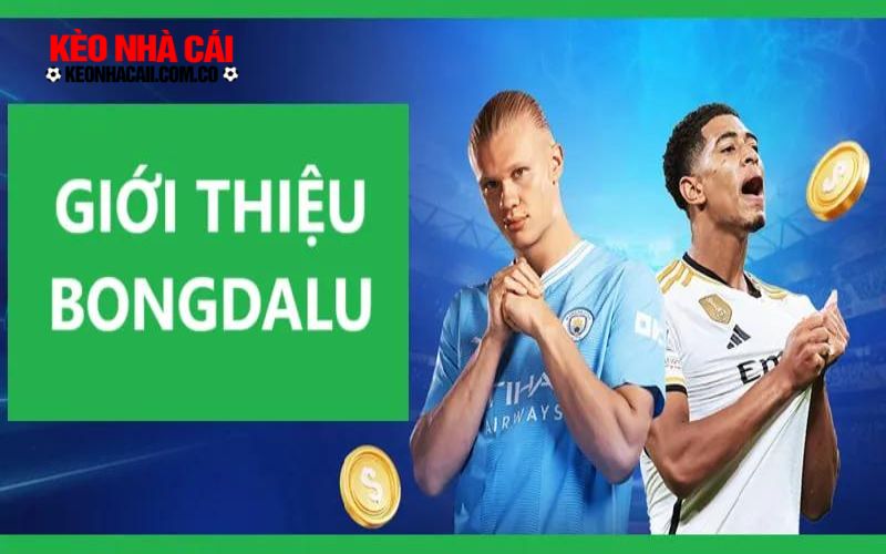 bongdalu Giới thiệu Bongdalu – Trang bóng đá nổi tiếng