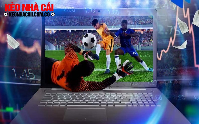 Keo Nha Cai 5 Kèo Nhà Cái 5